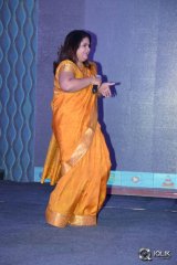 Sarrainodu Movie Success Meet